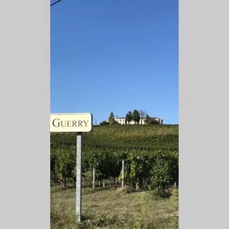 Вилла Au Coeur Des Vignes - Chateau Guerry Tauriac *
